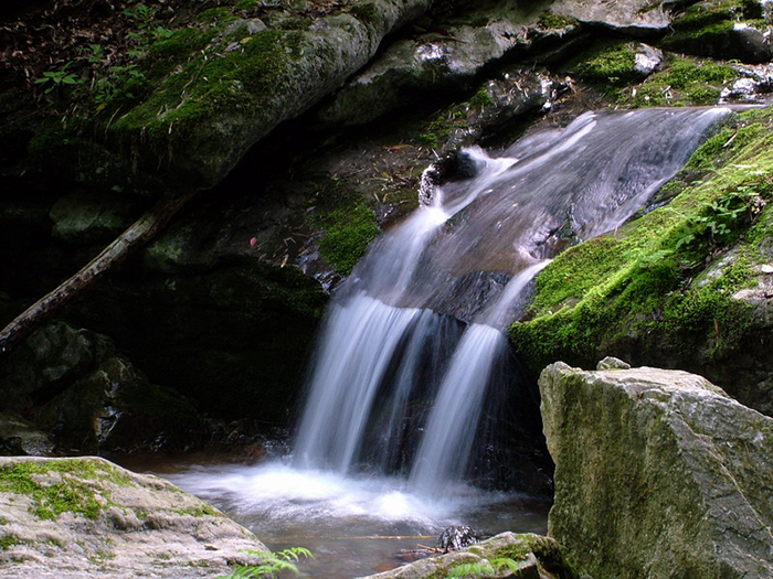 五龙洞国家森林公园